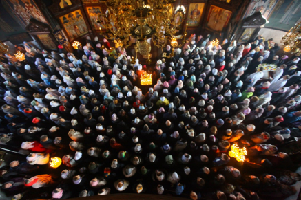 gallery-photo-49