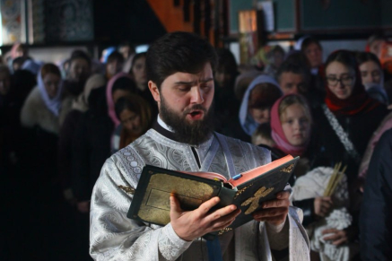 gallery-photo-54